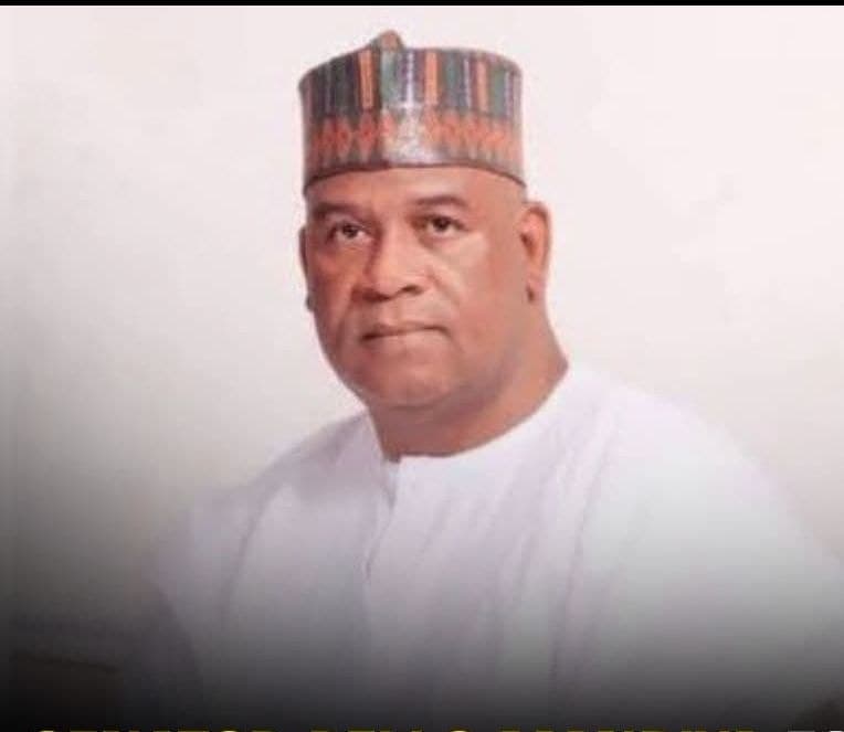Senator Abdul Ningi, Bauchi Central Senatorial District, Nigerian Senate